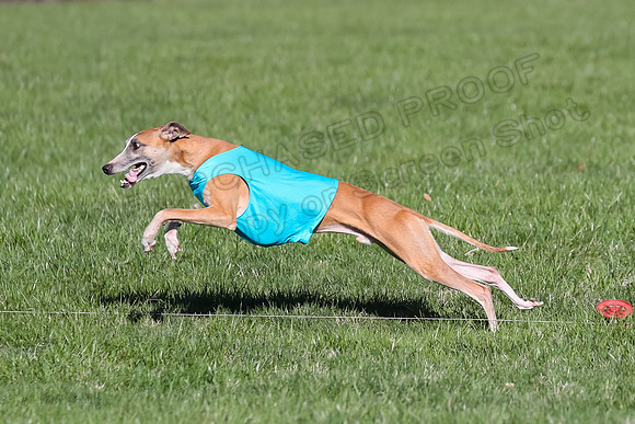 1 Prelim Fch A-1, Maeve Thor Rocky-3478