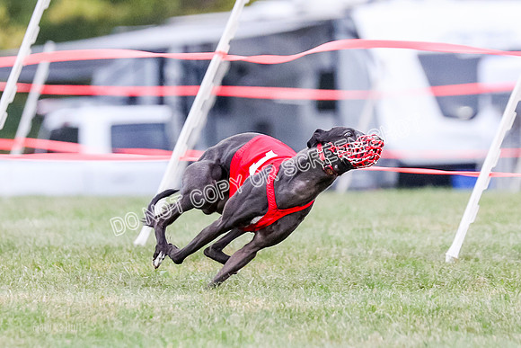 Prg 1, Race 16, Carl Maybe Bookie Sealli-0967