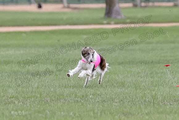 2 Finals Fch, Joker Finnegan-0106