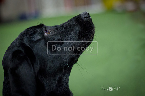 IMG_6696-Edit