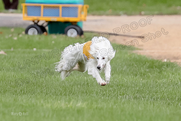 2 Finals Fch, Joker Finnegan-0089