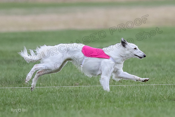 2 Finals Silken Singles Arthur-0458