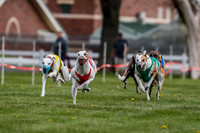 WRA, Prg 1, Race 2, Dash, Reas Mika Buzzsaw Moonstruck Elvis-8252