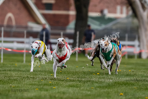 WRA, Prg 1, Race 2, Dash, Reas Mika Buzzsaw Moonstruck Elvis-8252