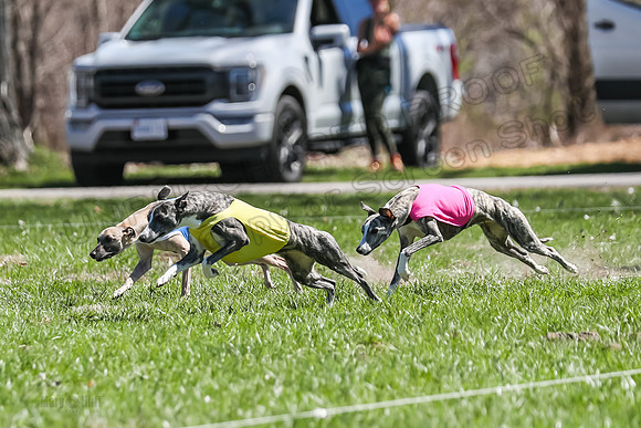 3 Finals Fch A-4, Prim Whisper Harley-5137