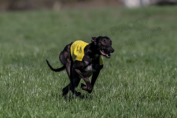 1 Prelim Fch B-5, Sealli Janey-3684