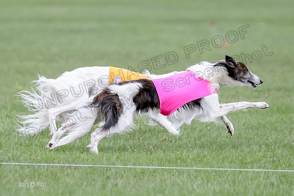 2 Finals Fch, Joker Finnegan-0099