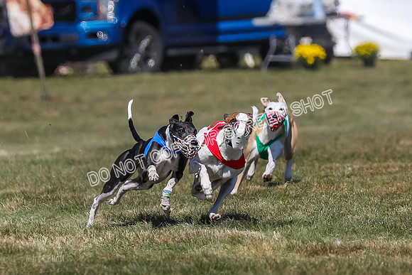 Prg 3, Race 9, Bibi Maybe Nami Rosie-2156