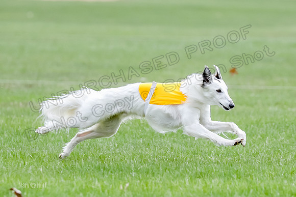 1 Prelims Silken Singles Arthur-9857