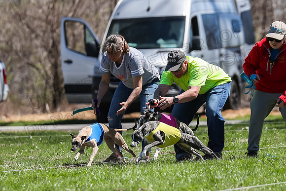 3 Finals Fch A-4, Prim Whisper Harley-5131