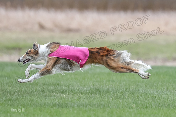 1 Prelims Silken Singles Charlie-9898