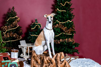 xmas Arthur-631-Edit