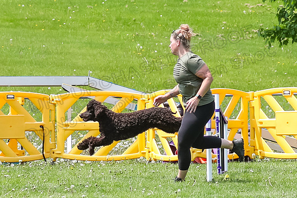 JWW Novice-4869