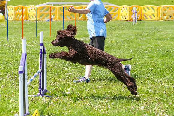 JWW Novice-4933