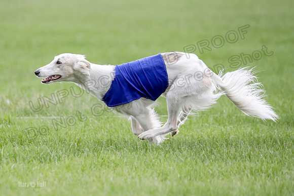 2 Finals Silken Singles Ripley-0495