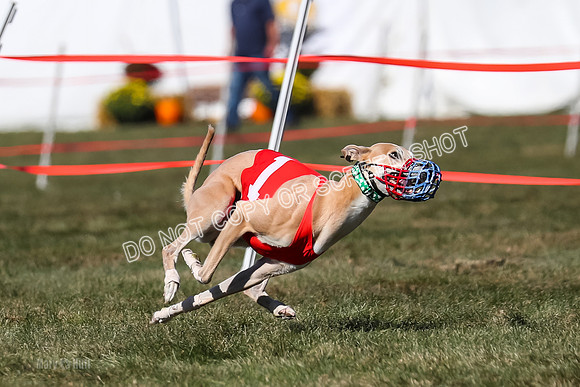Prg 4, Race 5, Steve Tata Micky Barley-2588
