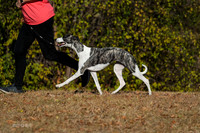 AE4I0909