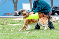 2 Finals Borzoi Open, Bene-9348
