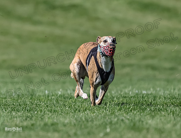5C7A9435