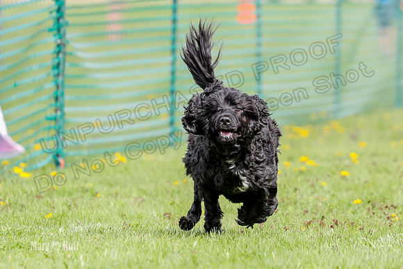 AE4I5045