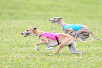 Prelim Specials A2, Laina Mantle Sassy-9630