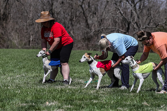 2 Finals Veterans A-2, Suni Mudbug Seven-0886