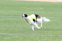 1 Prelims Fch, Finnegan Joker-9465