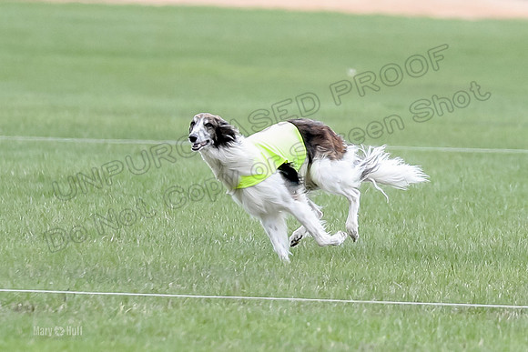 1 Prelims Fch, Finnegan Joker-9465