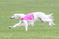 1 Prelims Fch, Finnegan Joker-9470
