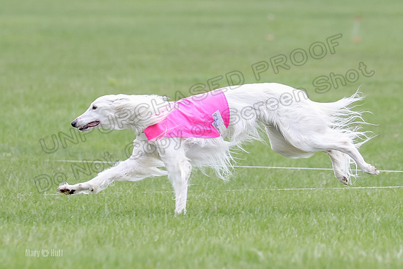 1 Prelims Fch, Finnegan Joker-9470