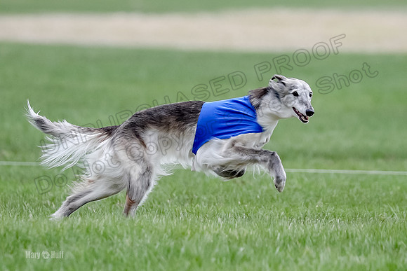 1 Prelims Silken Singles Moonshine-9835