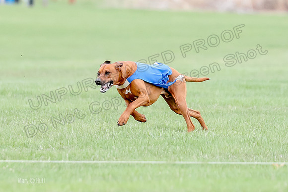 1 Prelim RR Open 1, Islay Kya Ace-9123