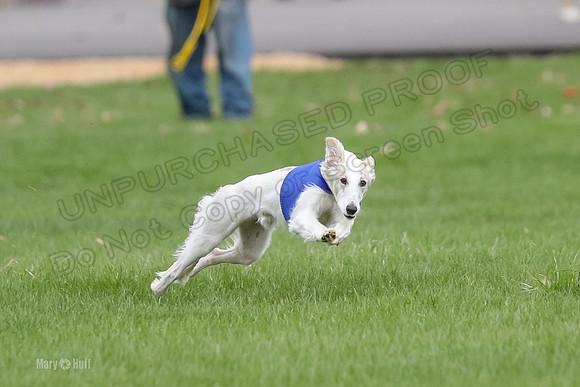 2 Finals Silken Singles Ripley-0480