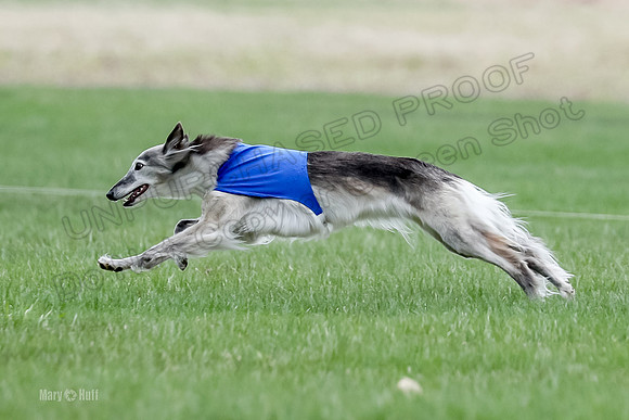 1 Prelims Silken Singles Moonshine-9842