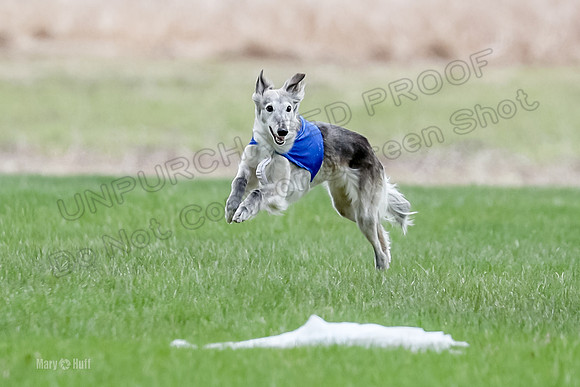 1 Prelims Silken Singles Moonshine-9840