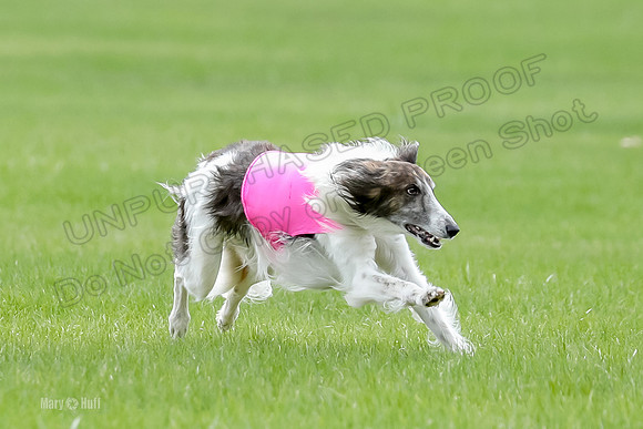 2 Finals Fch, Joker Finnegan-0114