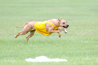 1 Prelim RR Open 1, Islay Kya Ace-9114