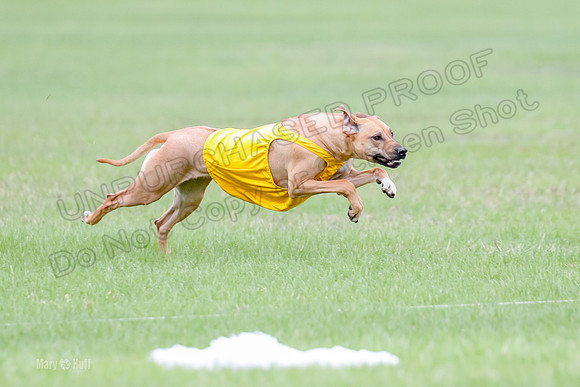 1 Prelim RR Open 1, Islay Kya Ace-9114