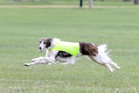 1 Prelims Fch, Finnegan Joker-9466