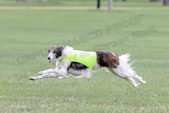 1 Prelims Fch, Finnegan Joker-9466