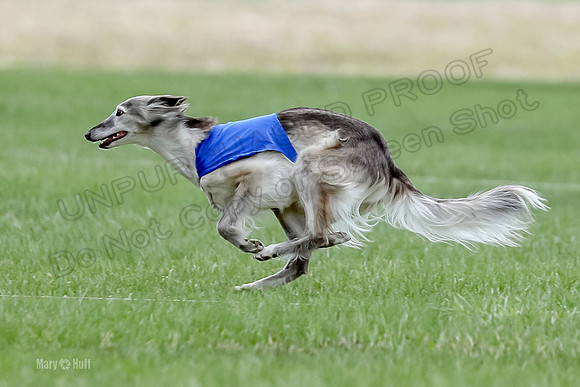 1 Prelims Silken Singles Moonshine-9843