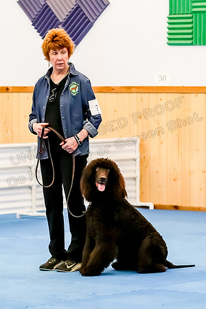 Novice B Sits & Downs-3455
