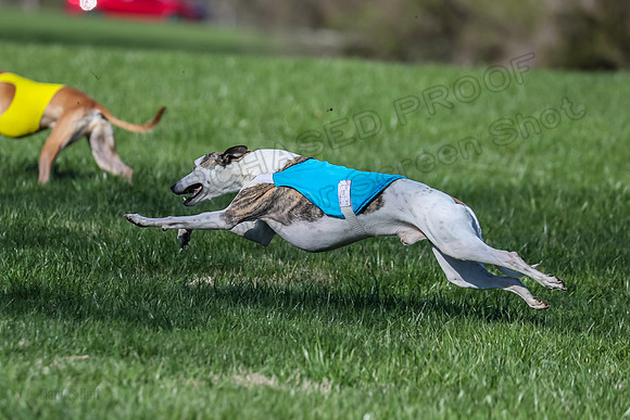 1 Prelim Fch B-3, Vulcan Charlie Riggs-3649
