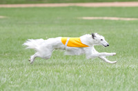 1 Prelims Silken Singles Arthur-9853