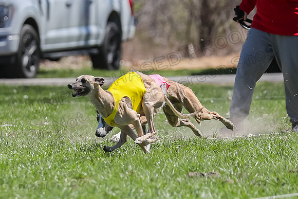 3 Finals Fch A-2, Justice Patron Thor-4984