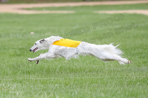 1 Prelims Silken Singles Arthur-9877