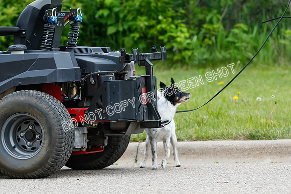L3 Vehicle-7367