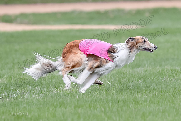 1 Prelims Silken Singles Charlie-9883