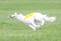 1 Prelims Silken Singles Arthur-9875