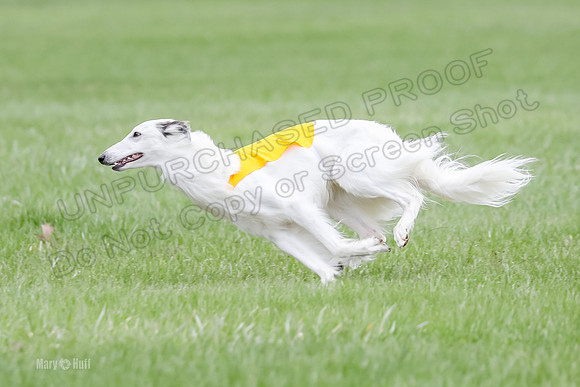 1 Prelims Silken Singles Arthur-9875